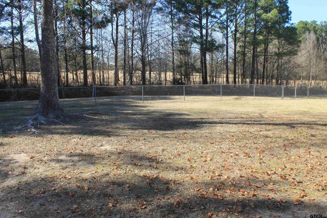 601 Kickapoo St, Chandler, TX 75758