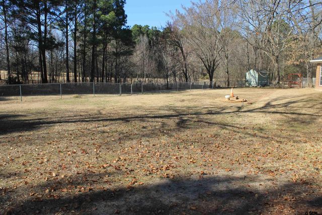 601 Kickapoo St, Chandler, TX 75758