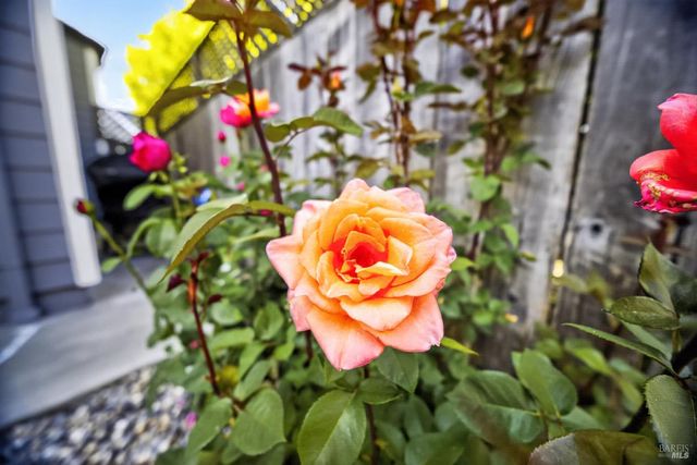 2400 Taylor Mountain Pl, Santa Rosa, CA 95404