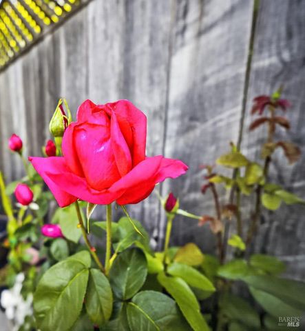 2400 Taylor Mountain Pl, Santa Rosa, CA 95404