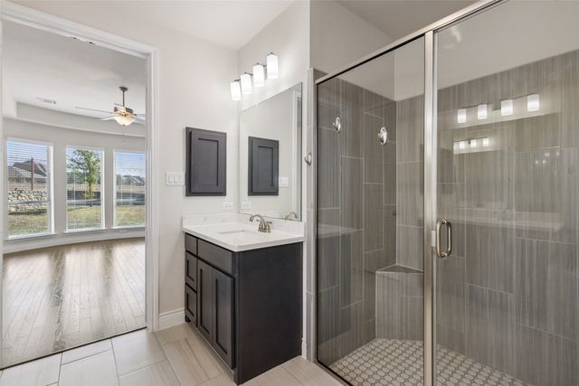 3705 Birch Wood Court, Northlake, TX 76226