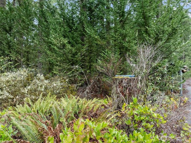 29722 SE Kent Kangley Road, Ravensdale, WA 98051