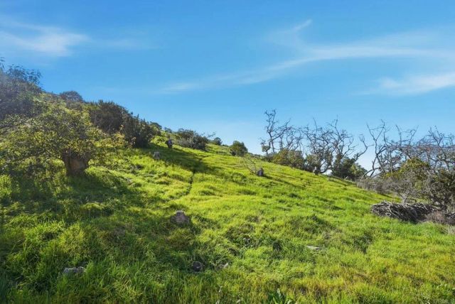 1790 La Plaza, San Marcos, CA 92078