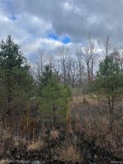 0 SEYMOUR Road, Argentine Township, MI 48451