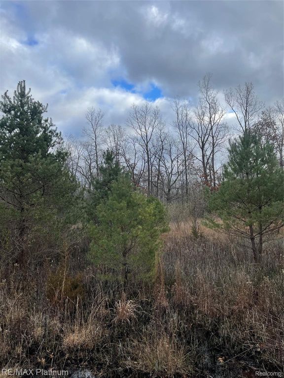 0 SEYMOUR Road, Argentine Township, MI 48451