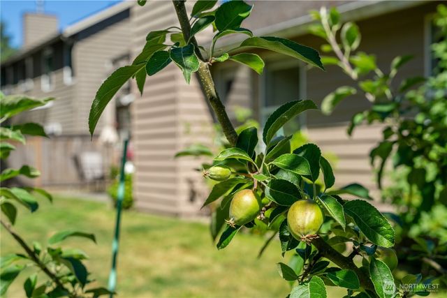 13810 56th Drive SE, Everett, WA 98208