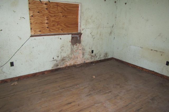 1153 Easy Street Road, Livingston, TX 77351