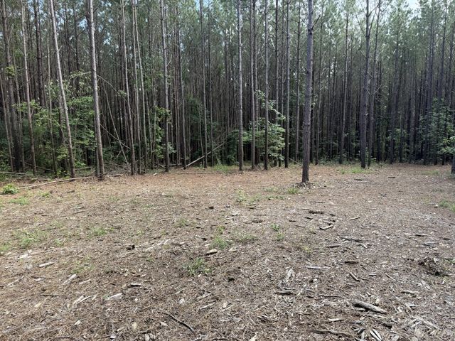 191 Seiber Ridge RD, Hohenwald, TN 38462