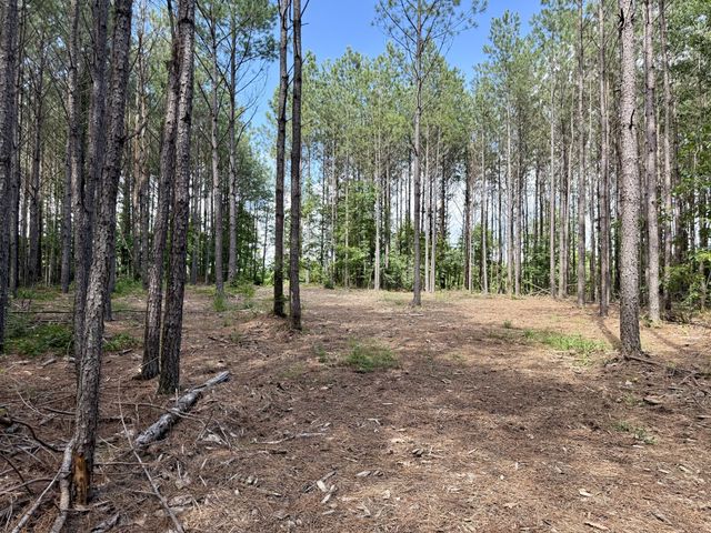 191 Seiber Ridge RD, Hohenwald, TN 38462