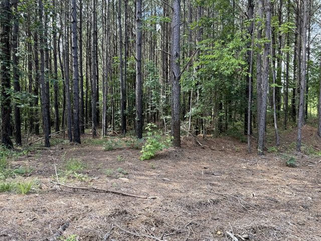 191 Seiber Ridge RD, Hohenwald, TN 38462