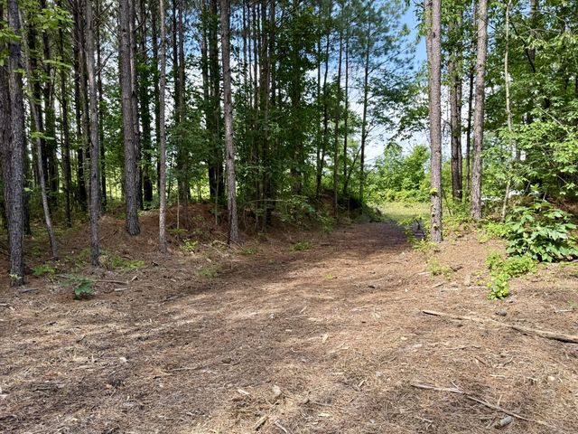 191 Seiber Ridge RD, Hohenwald, TN 38462