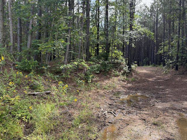 191 Seiber Ridge RD, Hohenwald, TN 38462