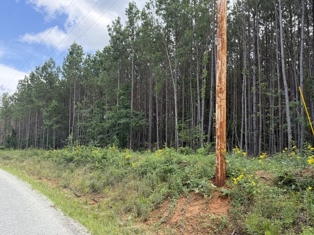 191 Seiber Ridge RD, Hohenwald, TN 38462