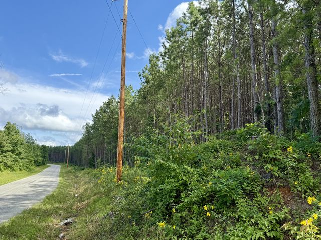 191 Seiber Ridge RD, Hohenwald, TN 38462