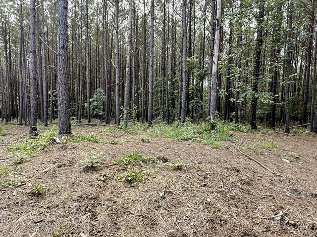 191 Seiber Ridge RD, Hohenwald, TN 38462
