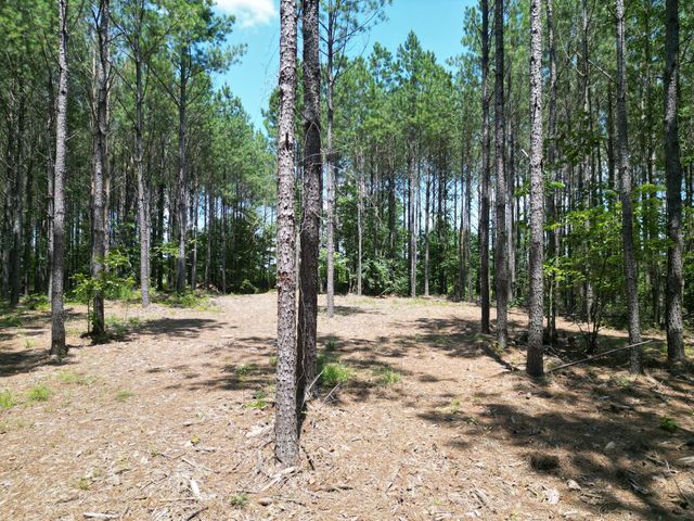191 Seiber Ridge RD, Hohenwald, TN 38462