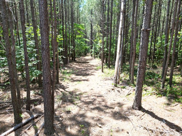 191 Seiber Ridge RD, Hohenwald, TN 38462