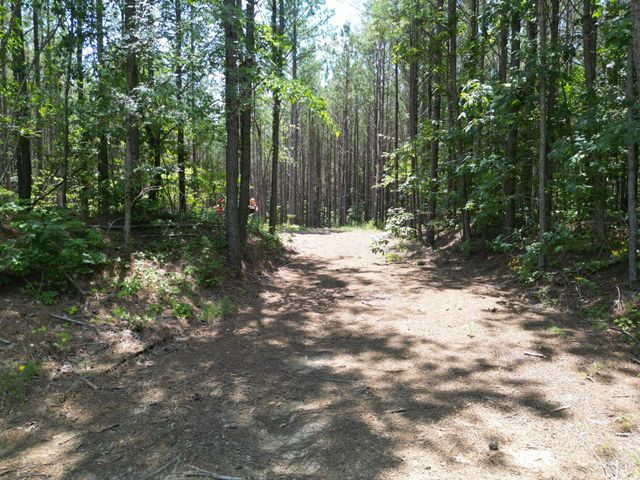 191 Seiber Ridge RD, Hohenwald, TN 38462