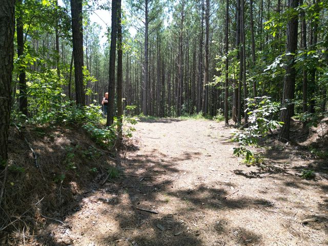 191 Seiber Ridge RD, Hohenwald, TN 38462