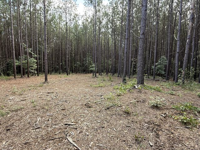 191 Seiber Ridge RD, Hohenwald, TN 38462