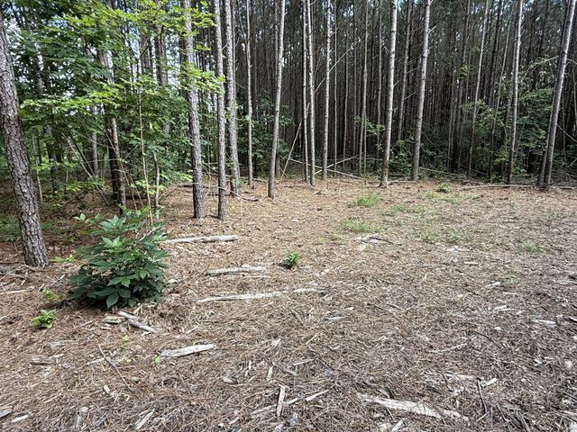 191 Seiber Ridge RD, Hohenwald, TN 38462