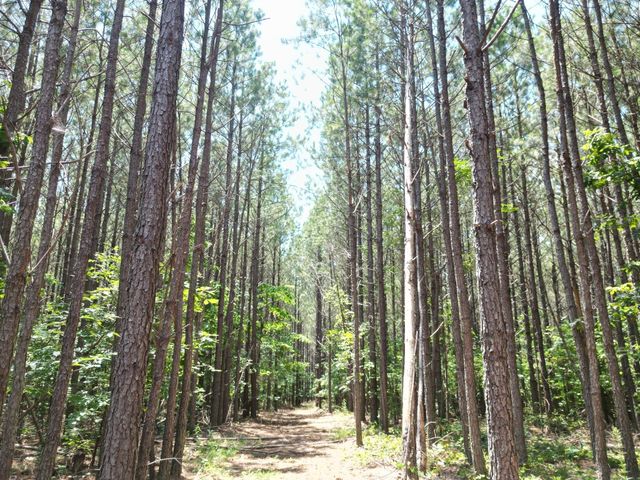 191 Seiber Ridge RD, Hohenwald, TN 38462