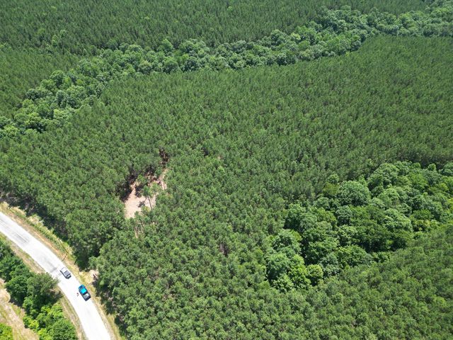 191 Seiber Ridge RD, Hohenwald, TN 38462