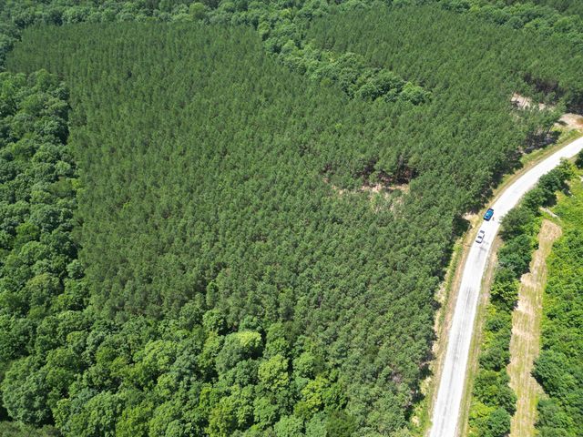 191 Seiber Ridge RD, Hohenwald, TN 38462