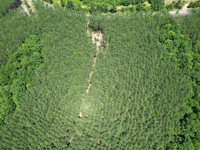 191 Seiber Ridge RD, Hohenwald, TN 38462