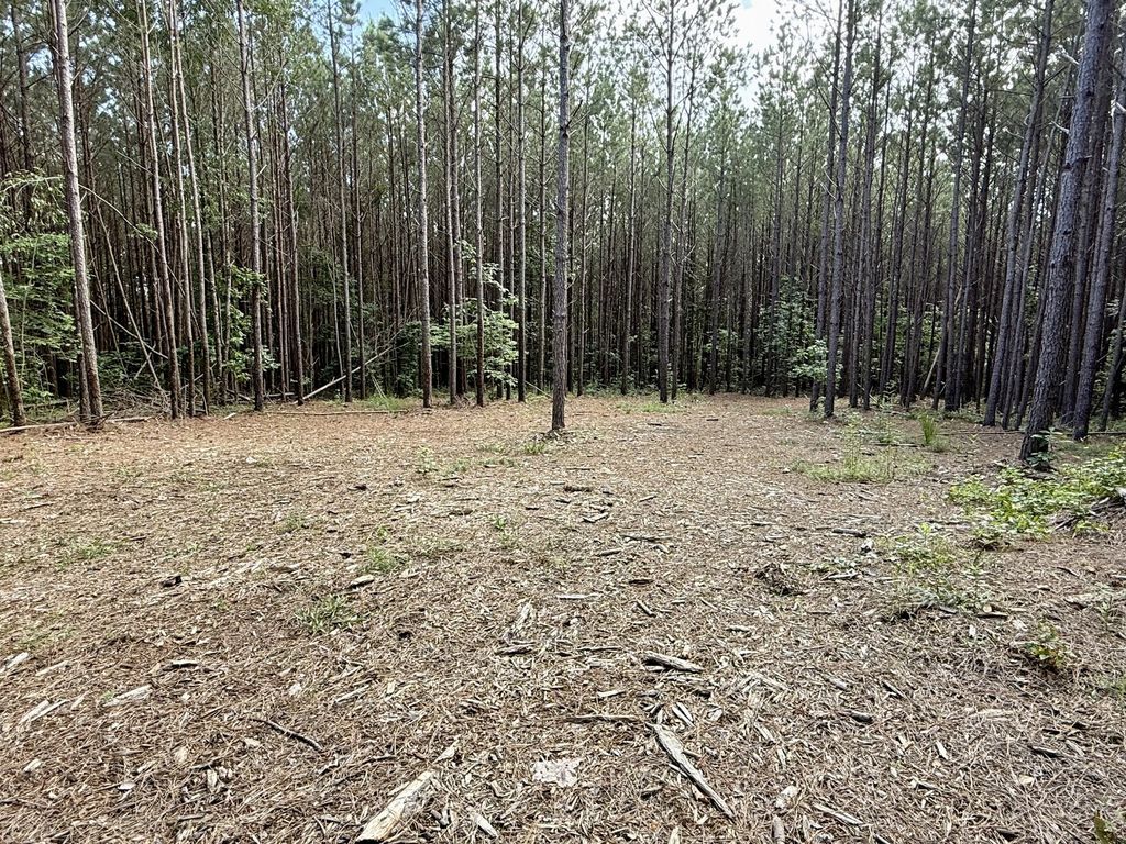 191 Seiber Ridge RD, Hohenwald, TN 38462