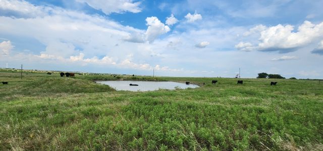 1397 County Road 338 338, Gainesville, TX 76240