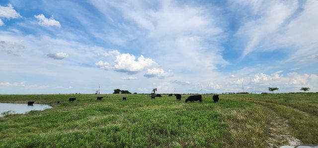 1397 County Road 338 338, Gainesville, TX 76240