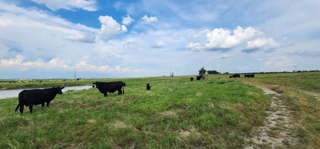 1397 County Road 338 338, Gainesville, TX 76240