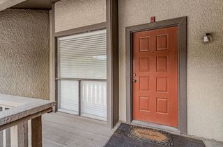 4557 N O Connor Road 2281, Irving, TX 75062