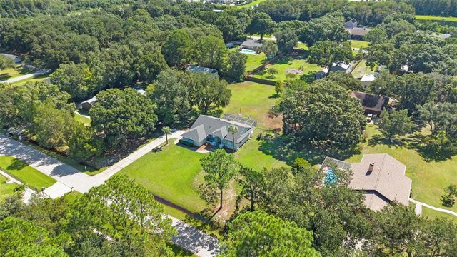 17269 RAINTREE ROAD, Lutz, FL 33558