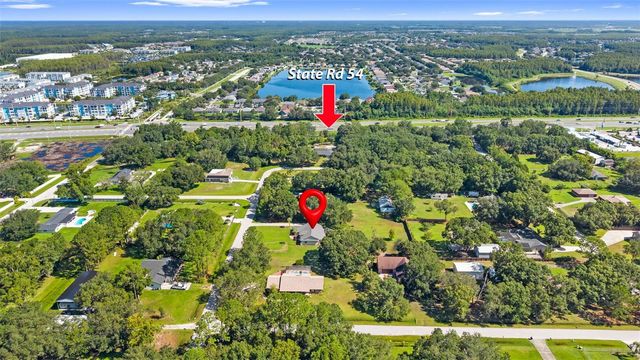 17269 RAINTREE ROAD, Lutz, FL 33558