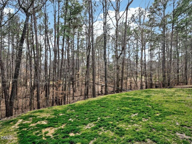 85 Skygrove Drive, Clayton, NC 27527