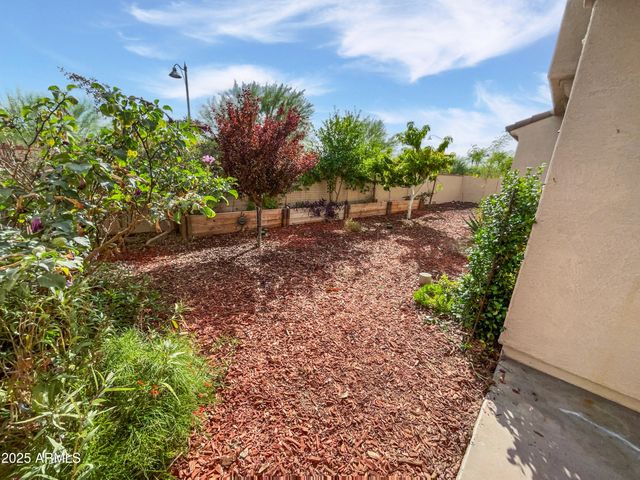 20529 W MAIDEN Lane, Buckeye, AZ 85396