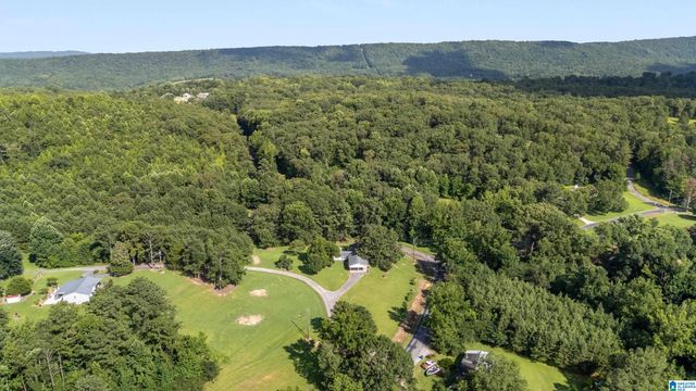 3934 RED VALLEY ROAD, Remlap, AL 35133