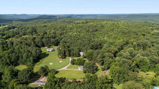 3934 RED VALLEY ROAD, Remlap, AL 35133