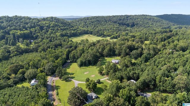 3934 RED VALLEY ROAD, Remlap, AL 35133