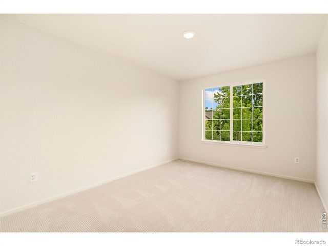 1338 Basseterre Place, Fort Collins, CO 80525