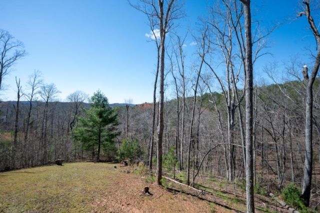 56 Carters View Lane, Ellijay, GA 30540