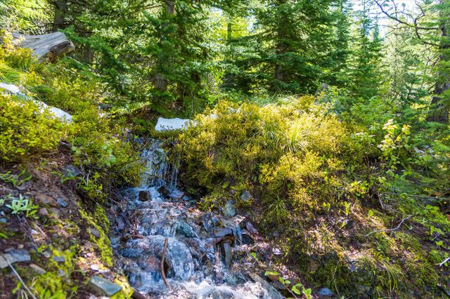 Nhn Griffin Creek Road, Marion, MT 59925