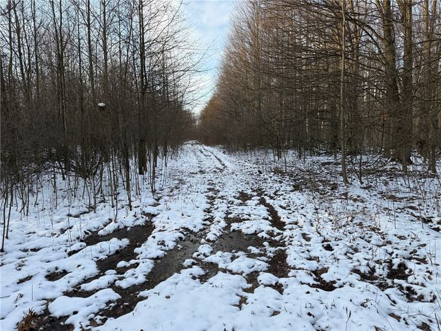 00 Borowicz Rd, Wilmington Twp, PA 16142