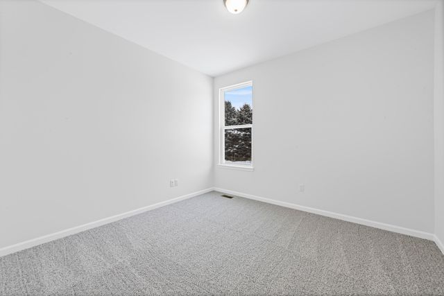 28510 Coyote Court, Lyon Twp, MI 48165