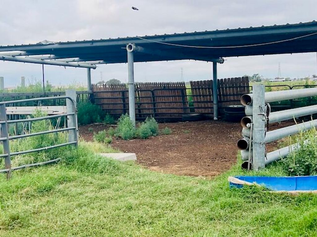 6318 E County Rd 6500, Lubbock, TX 79403