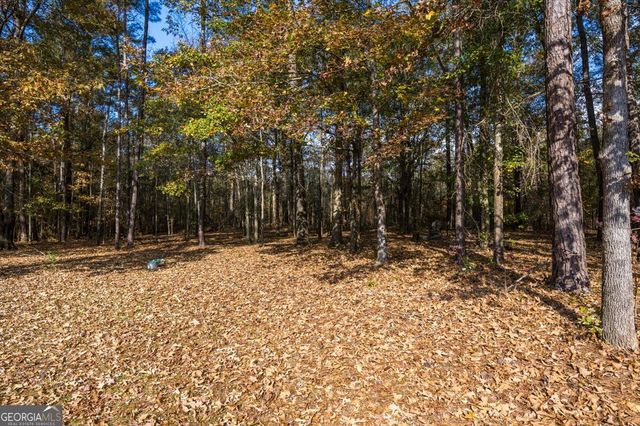 428 Fairview Church Road, Forsyth, GA 31029