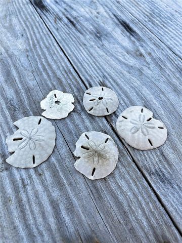 13130 Gulf Beach Drive, Freeport, TX 77541