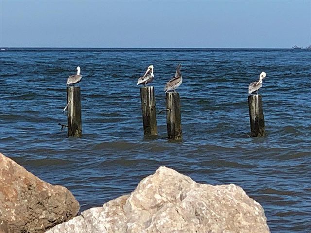 13130 Gulf Beach Drive, Freeport, TX 77541